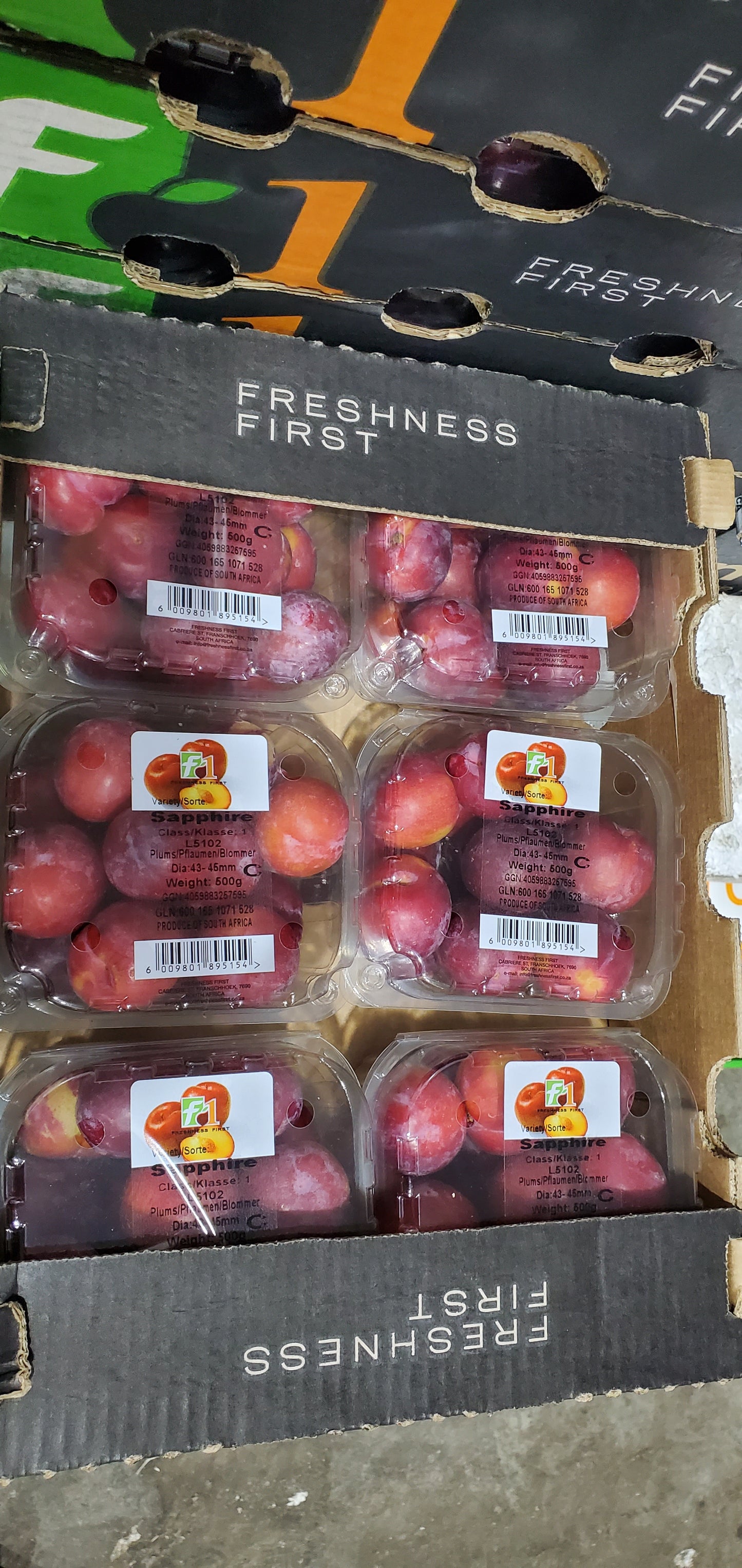 Red Plum S/Africa  (1*6) برقوق احمر افريقي