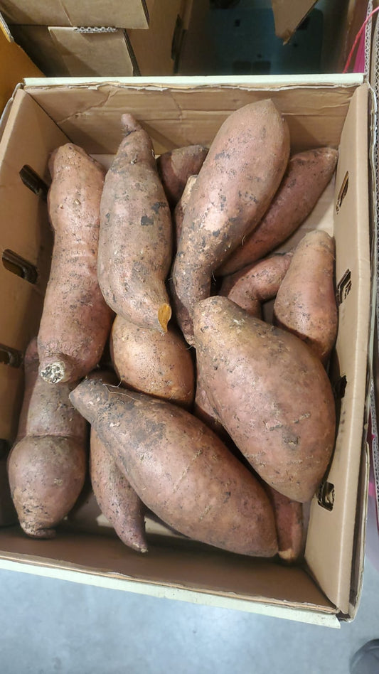 Sweet Potato/Egypt 5kg فندال مصري
