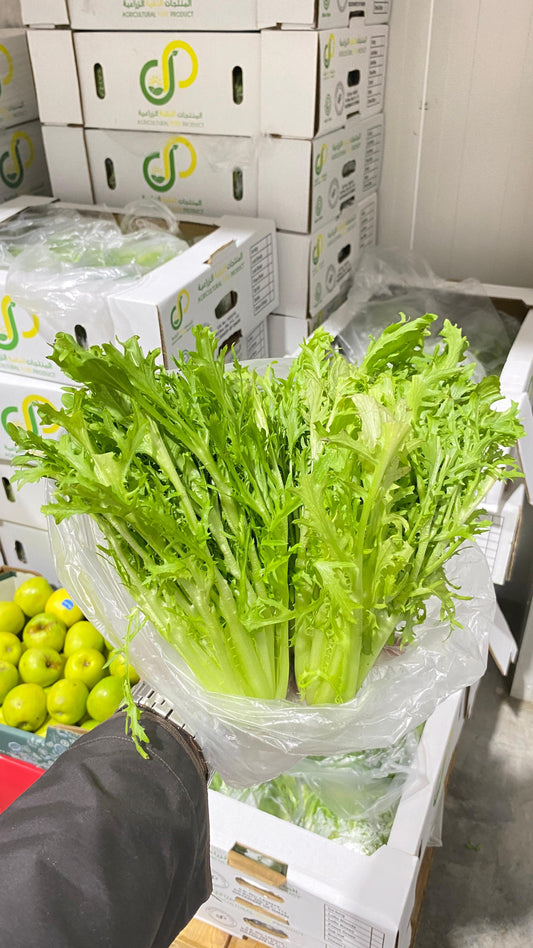 خس لتر فريزر 2kg  Lettuce liters freezer