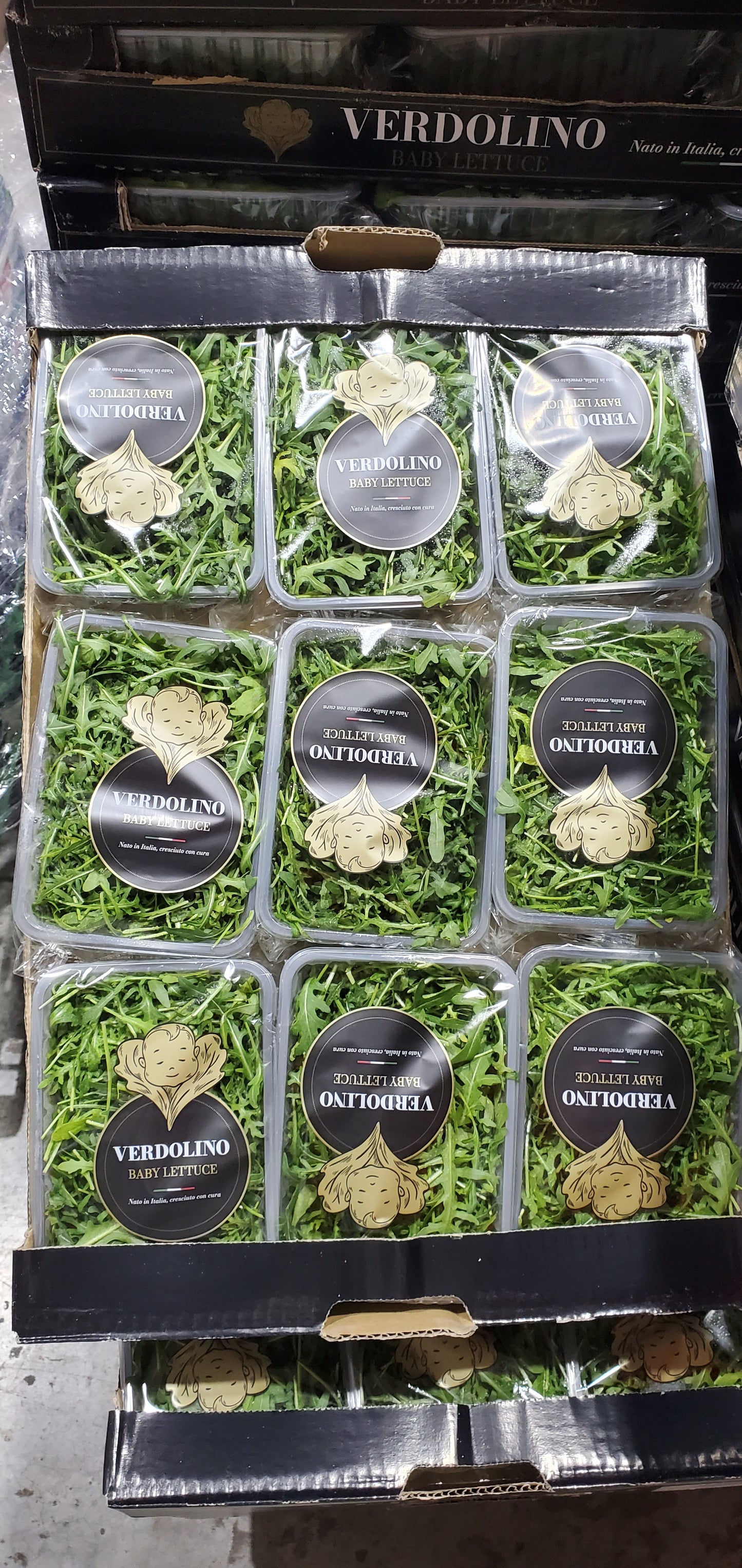 French baby rocket جرجير بيبي فرنسي