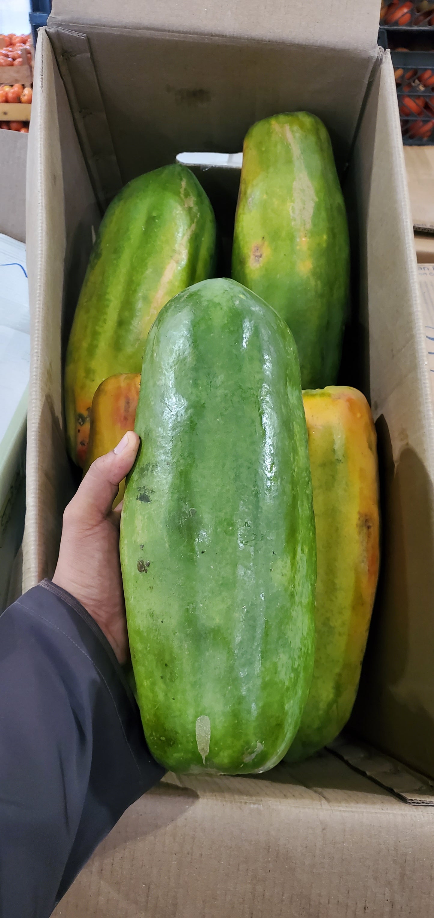 PAPPAYA SALALAH  20-18kg فيفاي/ صلالة