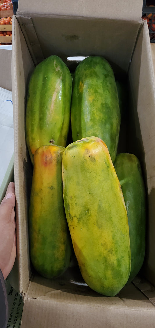 PAPPAYA SALALAH  20-18kg فيفاي/ صلالة