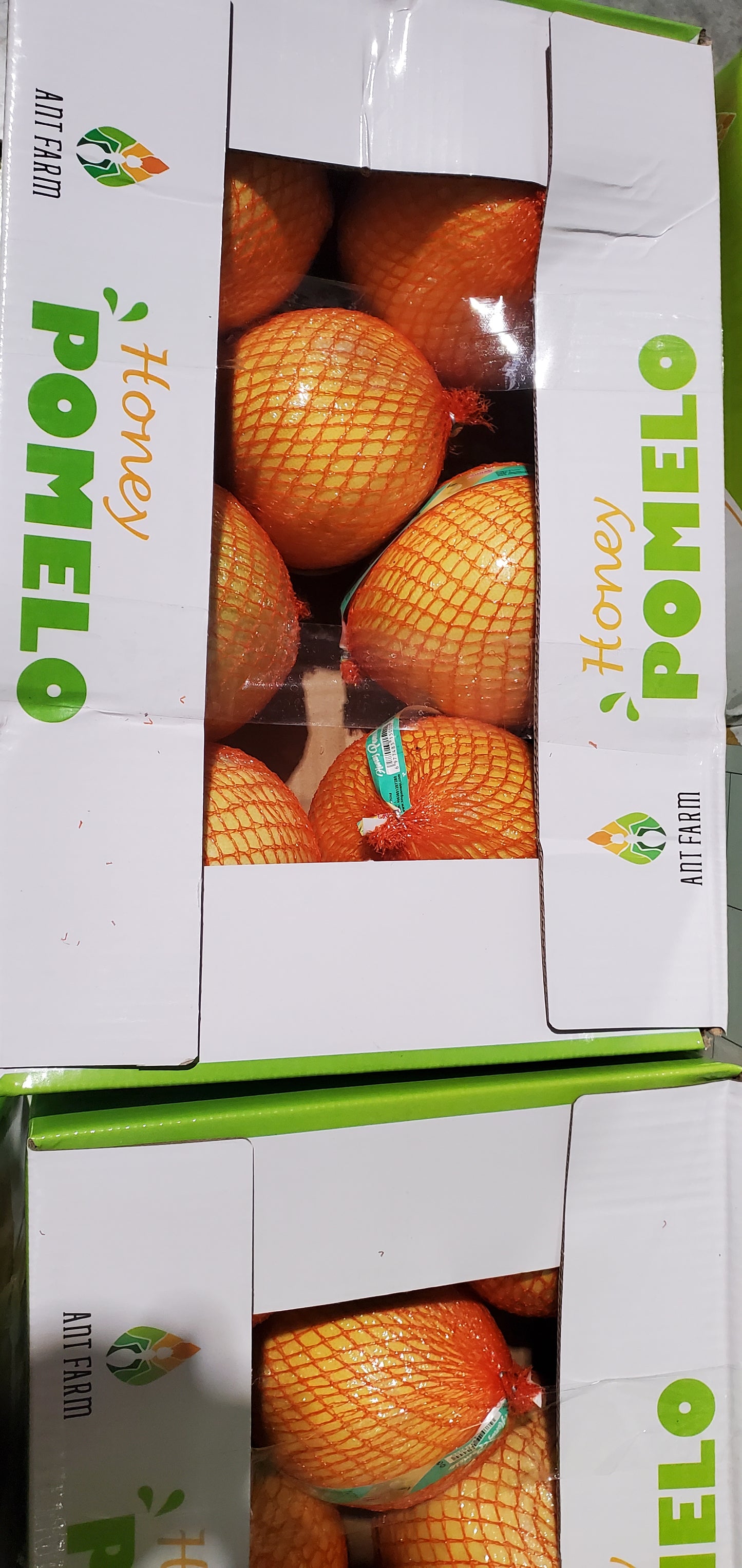 بومالي صيني 6kg