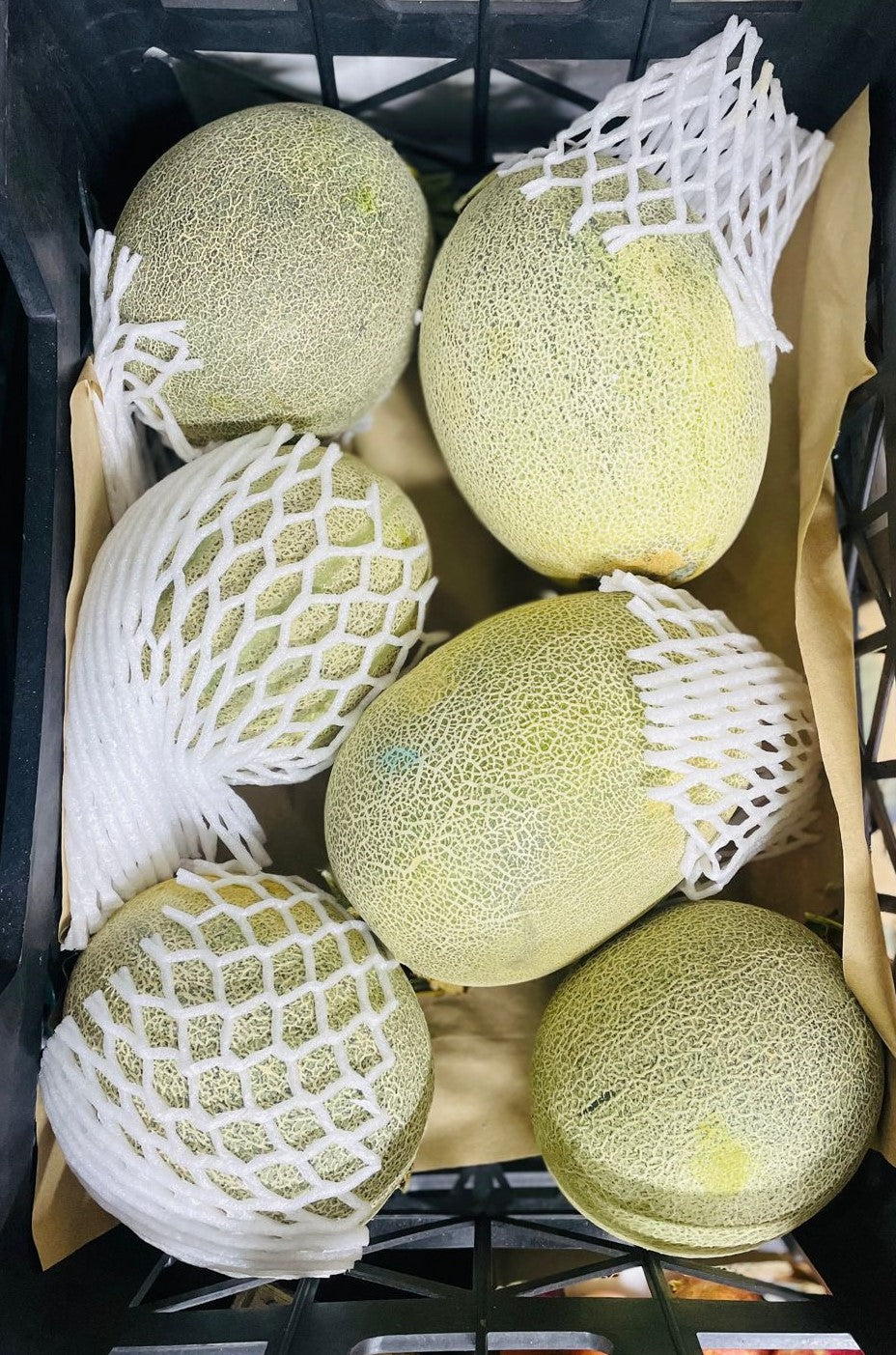 ROCK MELON IRAN شمام ايراني/ روك ميلون
