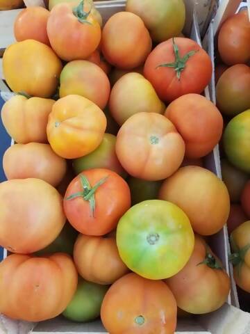 Tomato/ Oman 7kg  طماطم عماني