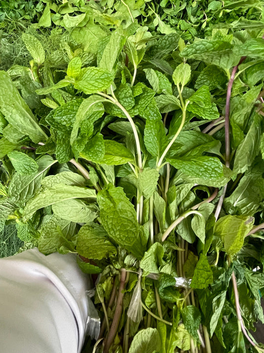 Leaves (Mint) Oman 1kg  نعناع عماني