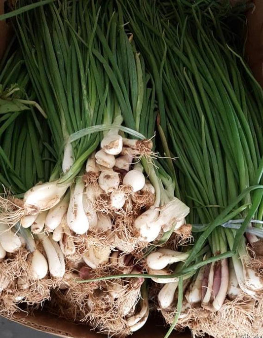 Onion Green 1kg بصل اخضر