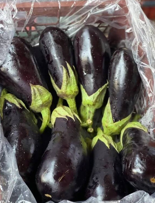 Eggplant/ Iran 6-7kg باذنجان ايراني