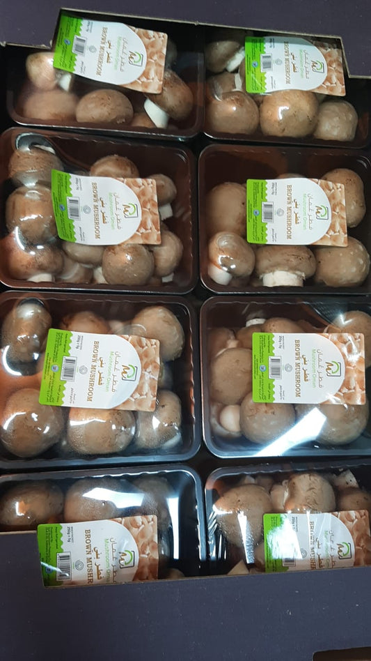 Mushroom Brown Oman 8x250g مشروم بني