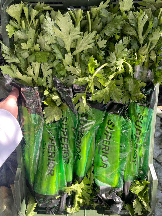 Celery Iran 8kg كرفس ايران