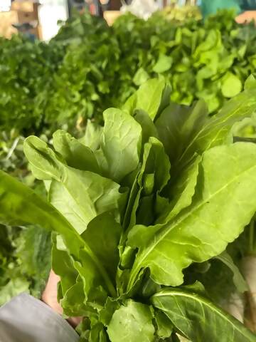Leaves (Arugula) Oman 1kg جرجير عماني