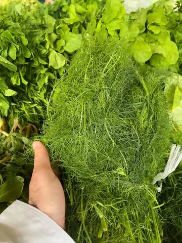 Leaves (Dill)/ Oman 1kg شبت عماني
